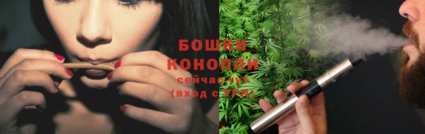 герыч Ельня