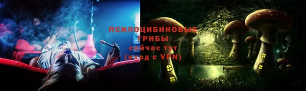 винт Елабуга