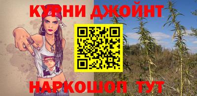 молекула духа Партизанск