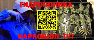 хмурый Пенза