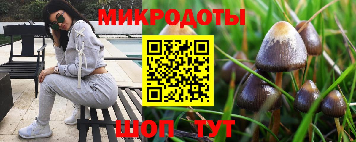 Галлюциногенные грибы Psilocybine cubensis Глазов
