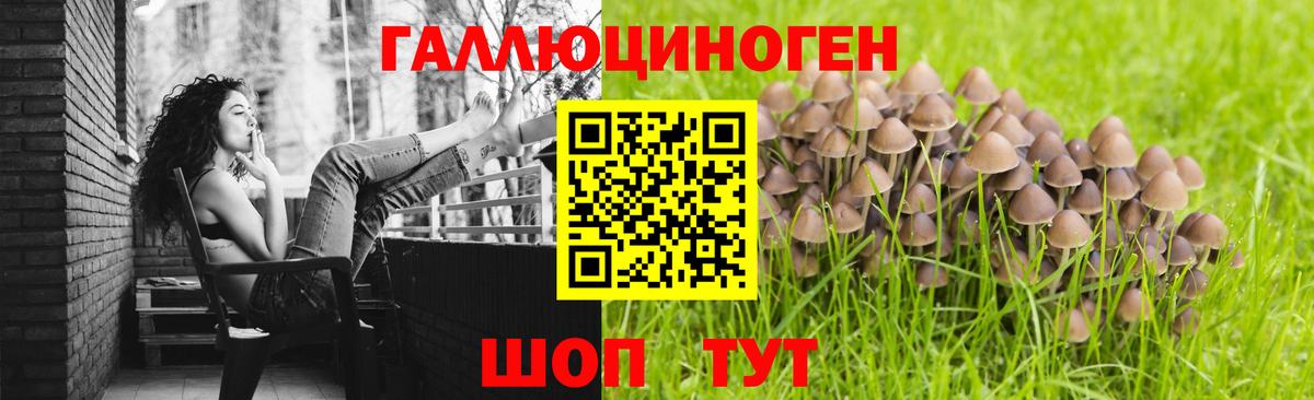 Галлюциногенные грибы мицелий  Вход с VPN  Глазов 