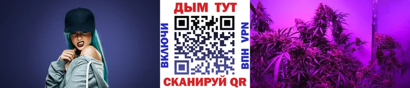 сколько стоит Глазов МАРИХУАНА THC 21%